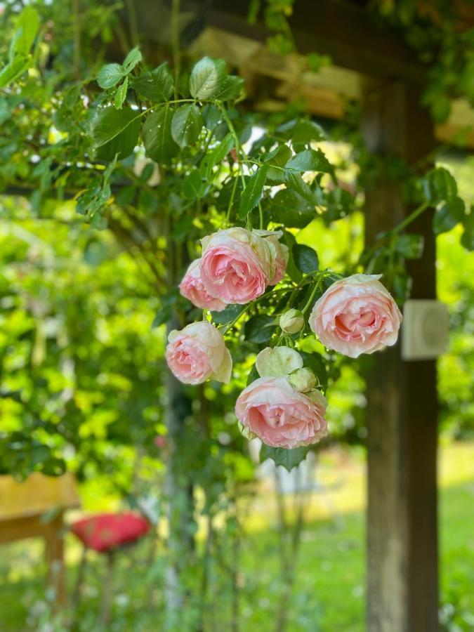 La Locanda Del Tevere Fiano Romano Eksteriør bilde