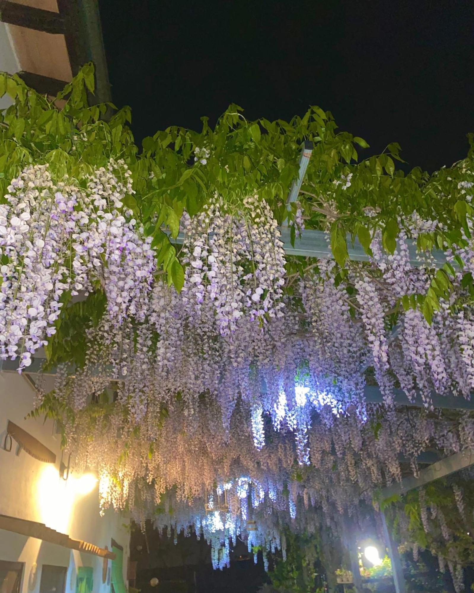 La Locanda Del Tevere Fiano Romano Eksteriør bilde