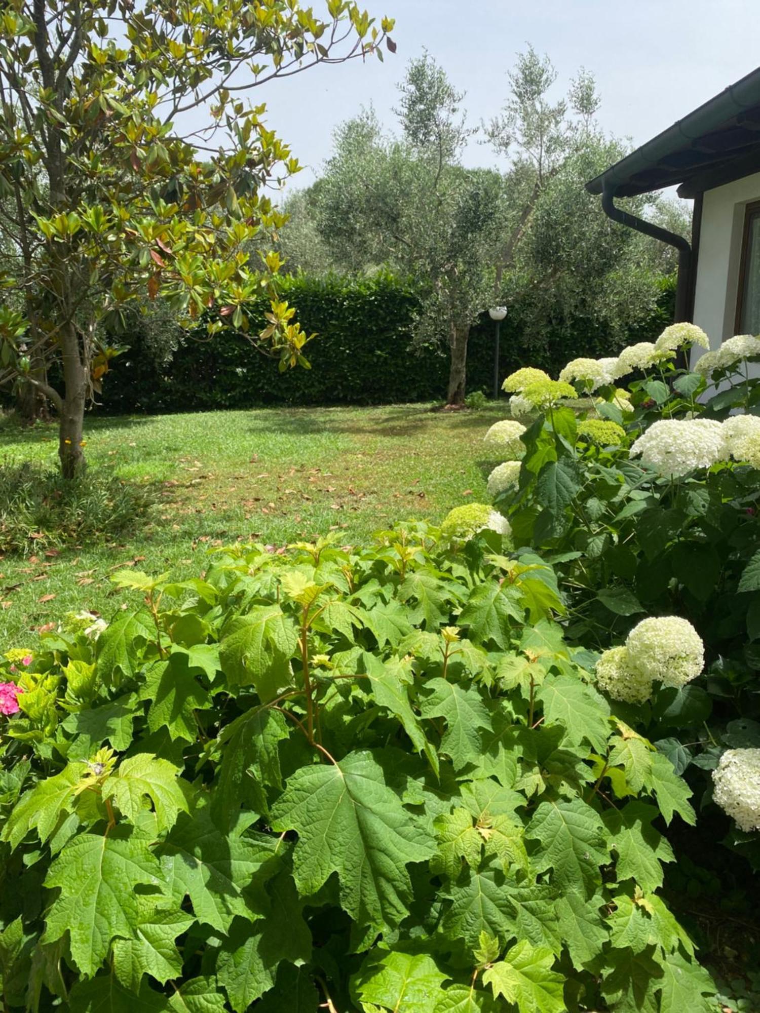 La Locanda Del Tevere Fiano Romano Eksteriør bilde